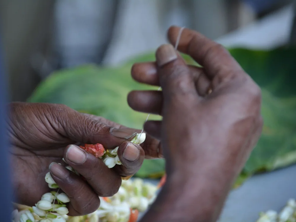 Close-up of hands threading a flower garland, the same stringing technique used for a lei